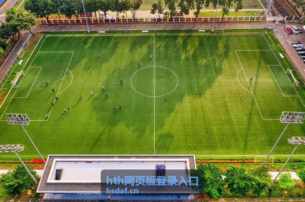 hth网页版登录入口客户端版本更新与回退